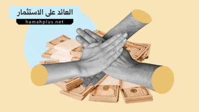 العائد على الاستثمار