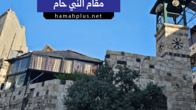 مقام النبي حام