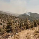 خطر الحرائق في سوريا