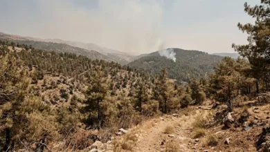 خطر الحرائق في سوريا